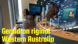 Experience the BEST of Tourism Attractions in Geraldton Western Australia [upl. by Nanyk]