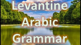 Learn Levantine Arabic Grammar  Active Participle measure 1  Practice [upl. by Steffie704]