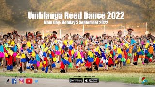 Umhlanga Reed Dance 2022 [upl. by Hinkel]