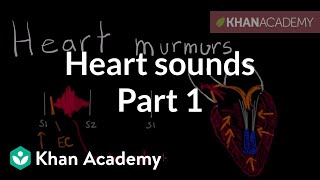 Systolic murmurs diastolic murmurs and extra heart sounds  Part 1  NCLEXRN  Khan Academy [upl. by Warder]