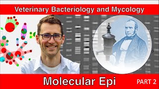 Molecular Epidemiology Part 2  Veterinary Bacteriology and Mycology [upl. by Malamut24]