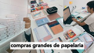 Lojinha da Lívia  3 mil reais em 2 compras gigantes de papelaria 🥰 [upl. by Care]