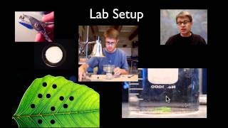 AP Biology Lab 4 Plant Pigments and Photosynthesis [upl. by Steinke]