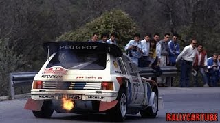 Peugeot 205 T16 Evo2 Gruppo B Pure Engine Sound [upl. by Anrev]