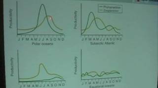 Ocean Productivity  Blooms vs Latitude [upl. by Nevil]