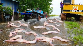 I Catch a lot of Redfish amp Catfish On The Road Flooding [upl. by Korten]