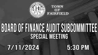 Board of Finance Audit Subcommittee Special Meeting  7112024 [upl. by Marigold]