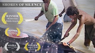 Whale Shark Slaughter in India  Shores of Silence  Green Oscar Winner [upl. by Rimidalg]