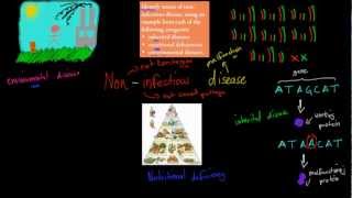 SB63 Types of noninfectious disease HSC biology [upl. by Elcin489]