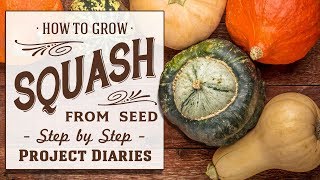 ★ How to Grow Squash from Seed A Step by Step Guide [upl. by Htebazie]