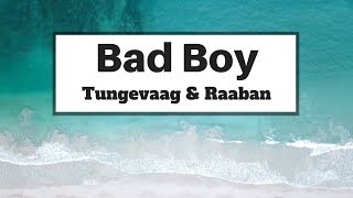 Tungevaag amp Raaban  Bad Boy Lyrics  Panda Music [upl. by Aniahs]