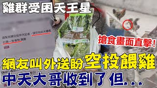 誰叫的外送來了 怕雞群受困天王星餓著熱心網友點quot菜quot盼中天攝影大哥空投餵雞 [upl. by Nedak287]