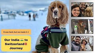 THE DAY Well never FORGET Our India 🇮🇳 to Switzerland🇨🇭Journey Travel with our dog Marathi Vlog [upl. by Krishna]