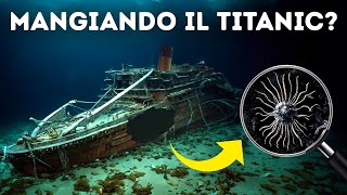 I fatti più oscuri del Titanic di cui nessuno parla mai [upl. by Cirri437]