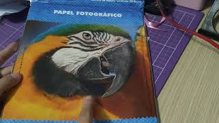 Como imprimir papel fotográfico glossy Masterprint na Canon G6010  Vídeo 02 [upl. by Hannasus603]