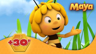 La Abeja Maya 🐝 🕒 30 EPISODIOS COMPLETOS 🐝 [upl. by Einavoj428]