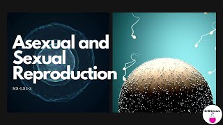 Asexual and Sexual Reproduction MSLS32 English [upl. by Drescher]