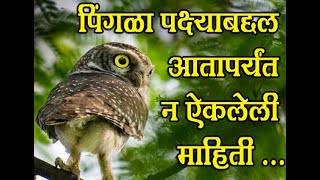 पिंगळा महाद्वारी योगेश चिगटगावकर Pingala Mahadwari Yogesh Chigatgavkar [upl. by Irianat]