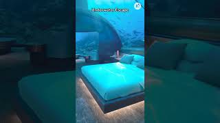 Top 5 Underwater Hotel Rooms You Must See 🌊 hotel underwaterhotel underwaterworld shorts [upl. by Ihsorih243]