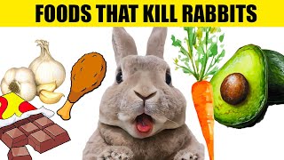 14 Foods That Will KILL Your Rabbit [upl. by Erinna]