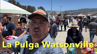 La Pulga De Watsonville Primera Parte [upl. by Jareb]