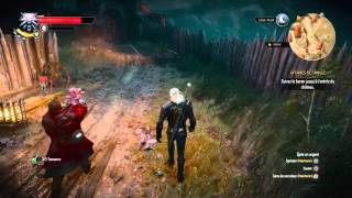 La malédiction du couvin TheWitcher3 PS4 [upl. by Brom]