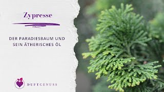 Zypresse – Der Paradiesbaum [upl. by Aicilaana600]