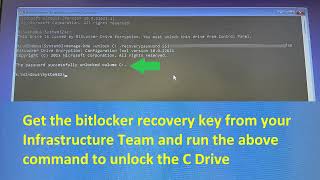 How to Fix the CrowdStrike BSOD Error With Bitlocker Recovery [upl. by Ylrehs]