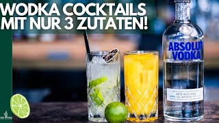 Vodka Cocktails mit nur 3 Zutaten 😱 SchnellEinfach [upl. by Augustin333]