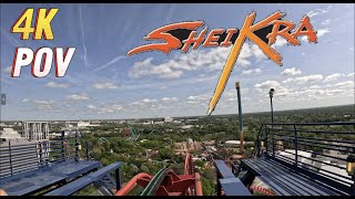 SheiKra POV at Busch Gardens Tampa March 2024 4K [upl. by Fortune]