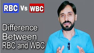 Difference Between Rbc and Wbc  Function of Rbc and Wbc  Structure of Rbc and Wbc [upl. by Aivuy]