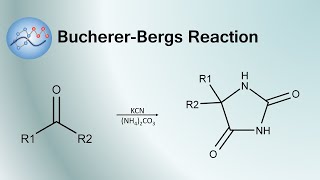 BuchererBergs Reaction Mechanism  Organic Chemistry [upl. by Lak114]