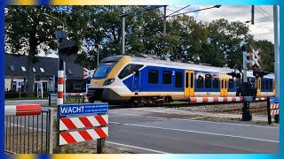 Spoorwegovergang Tynaarlo Zuidlaarderweg  Dutch Railroad Crossing [upl. by Anauqahc]