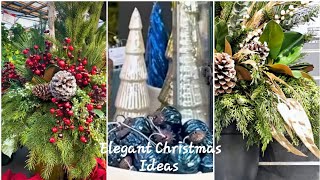 Beautiful Christmas Decorating Ideas Elegant Natural Planter Pot Ideas [upl. by Neau]