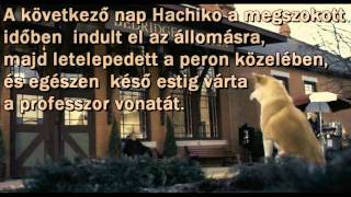 Hachiko  Egy hűséges kutya története [upl. by Atterual]