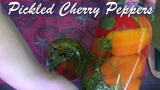 Pickled Cherry Peppers Recipe [upl. by Jasmine184]