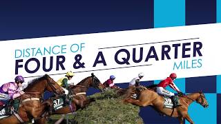 Guide to the 2019 Randox Health Grand National [upl. by Atnicaj]