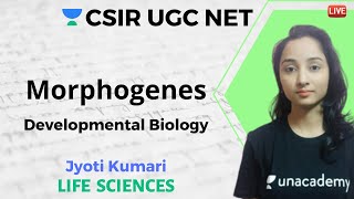 Morphogenes and its Action  Developmental Biology  Life Science  Jyoti Kumari [upl. by Hepzi748]