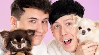 Dan and Phil AND DOGS [upl. by Lidaa]