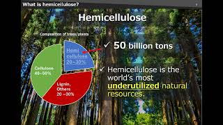 COP29 HEMIX™ bioplastics Hemicellulose Ltd presentation ver3 [upl. by Aretak]