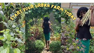 Why You Should Start Your Urban Farm Today [upl. by Airahcaz]