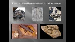 Paluxy Fossil Trackways of Dinosaur and Human Footprints [upl. by Herrod]