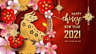 The Year of the Ox – 2021 – Chinese Astrology [upl. by Sandberg]