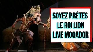 Soyez Prêtes  Le Roi Lion  Mogador  LIVE  Olivier Breitman [upl. by Aleemaj]