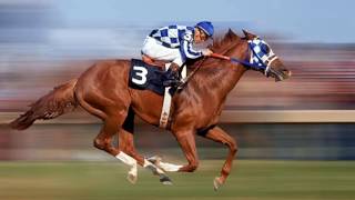 SECRETARIAT  TRIPLE CORONA [upl. by Court]