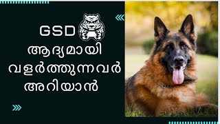 German shepherds good for first time dog owners  Malayalam  first time dog owner guide [upl. by Gennaro]