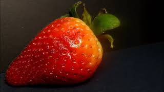 Strawberry decay timelapse [upl. by Nadroj]