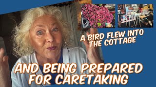 Aging and Longevity  Being Prepared for Home Caretaking  A Bird in the Cottage  Over 60 [upl. by Ahseined381]