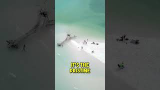 Whitehaven Beach Exploring the Pristine Beauty of Australias Coastal Gem [upl. by Nailluj]