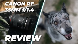 Canon RF 35mm f14L VCM Lens Review  The Ultimate Hybrid Lens [upl. by Ailb825]